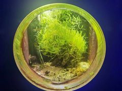 -嘉兴海底世界