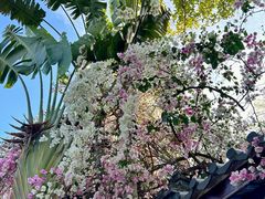 -深圳国际园林花卉博览园