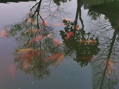 -杭州植物园