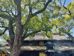 -阿育王寺