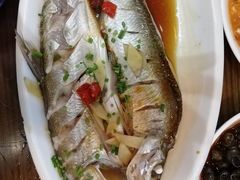-老马家·舌尖上的西塘美食