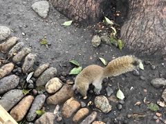 -西湖外事游船(湖滨二公园外事游船码头)