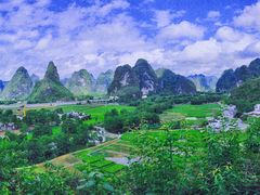 -明仕田园