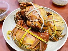 -黄记大闸蟹专卖店·活蟹·醉蟹