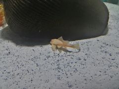 -绍兴梦享海洋公园