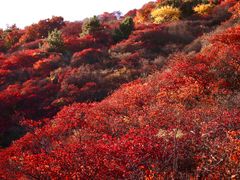 -水峪民俗村