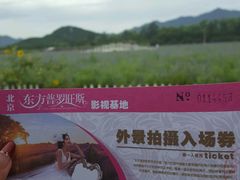 -北京东方普罗旺斯薰衣草庄园