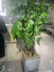 -HG美发设计沙龙