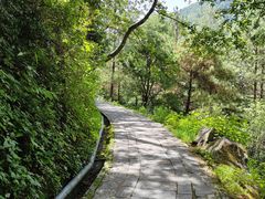 -苍山感通索道