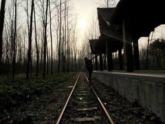 -合肥滨湖国家森林公园