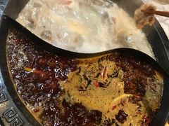 -杨家火锅(国美店)