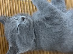 -邵汇大虾(吉林大路店)