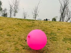 -桂溪生态公园