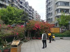 -乌山风景区
