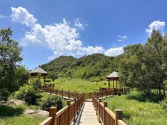 -白草畔自然风景区