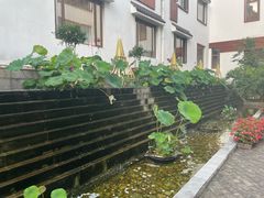-九华山聚龙大酒店