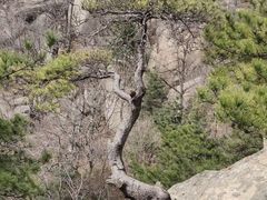 -沂蒙山旅游区龟蒙景区