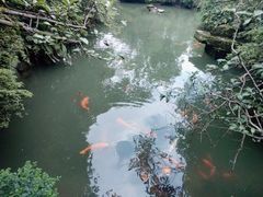 -成都武侯祠博物馆