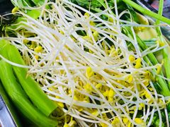 -金鼎雪山牦牛杂火锅(理县总店)