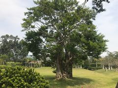 -厦门国家会计学院