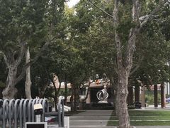 -山东省青岛第二中学(江西路分校)