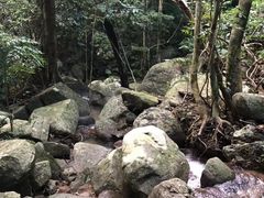 -七仙岭温泉国家森林公园