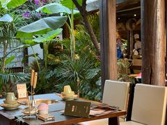 -菌自由丨野生菌火锅特色庭院餐厅(丽江古城店)