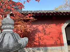 -护国法轮寺