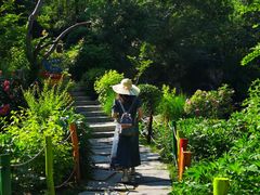 -幽岚山·童话森林