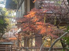 -鹤冈八幡宫