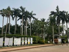 -万绿园