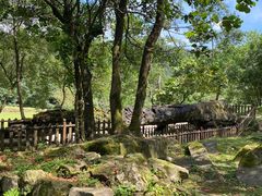 -唐崖土司城遗址