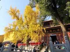 -宝通禅寺