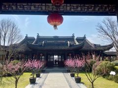 -上海海湾国家森林公园