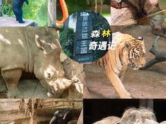 -长鹿旅游休博园