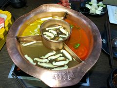 -老诚一锅羊蝎子(黄寺大街店)