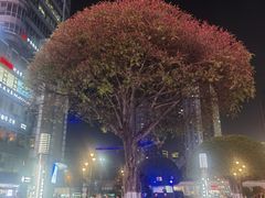 -观音桥步行街