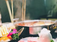 -新草堂锅物料理(泉城路店)