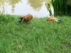 -石家庄市动物园