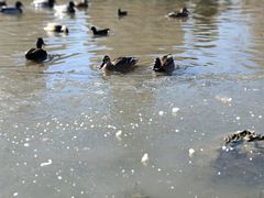 -前关湿地公园
