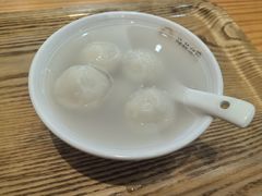 -海丝金凤(金鱼店)