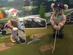 -济州岛泰迪熊博物馆