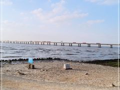-南汇新城海滩