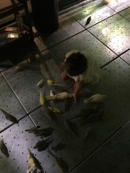 -酷嗒动物文化乐园(cutezoo西溪乐天城店)