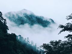 景点-东天目山风景区