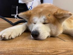 -YCHL Studios健身工作室(市二宫店)