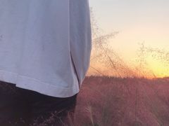 -艾溪湖湿地公园