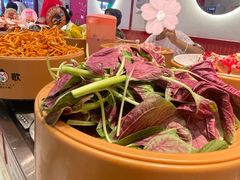 -龍歌自助小火锅(漳州二路爱购店)