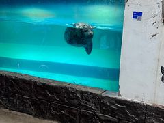 -嘉兴海底世界
