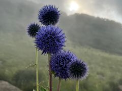 -白草畔自然风景区